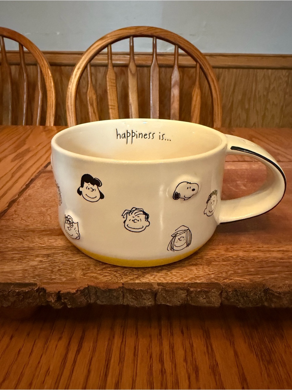 Rae Dunn x Peanuts Snoopy & The Gang 75 Years “happiness Is...” Soup Bowl